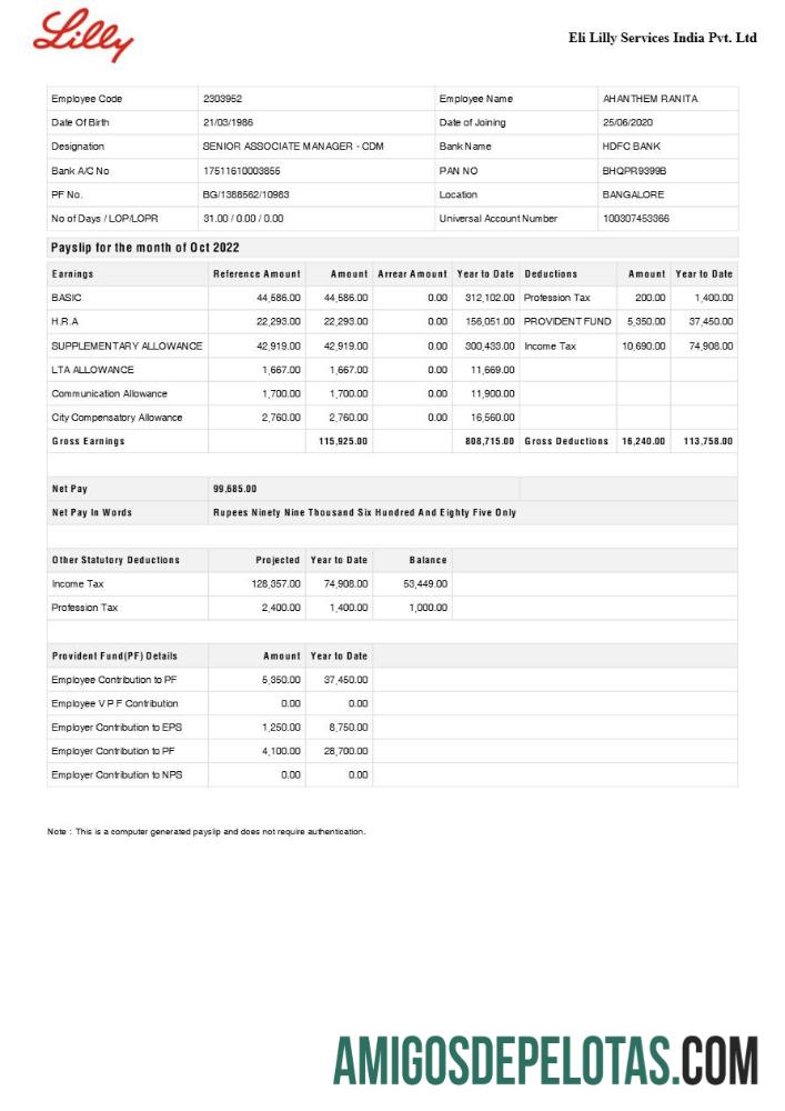 Em branco Modelo de recibo de pagamento da Eli Lilly Services India Pharmaceutical Company em formatos Word e PDF.pdf, 1
